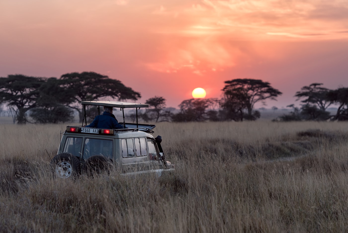 Ngorongoro Crater Full Day Tour